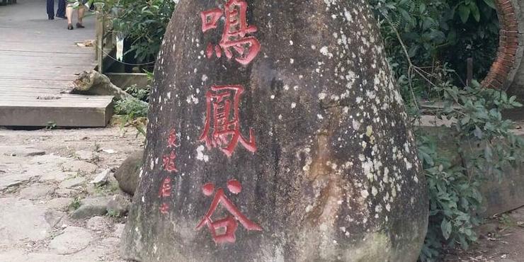 鸣凤谷 - 星际高球联盟-中国精英人士高尔夫旅游度假实景