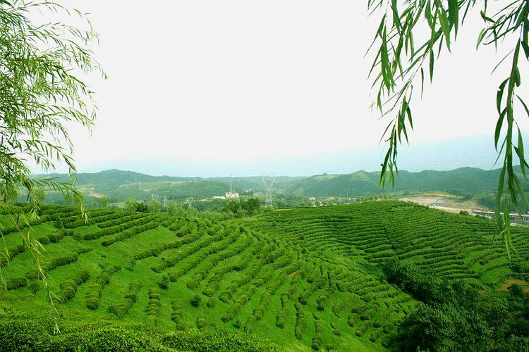 汉中市枣园湖公园 - 星际高球联盟-中国精英人士高尔夫旅游度假实景