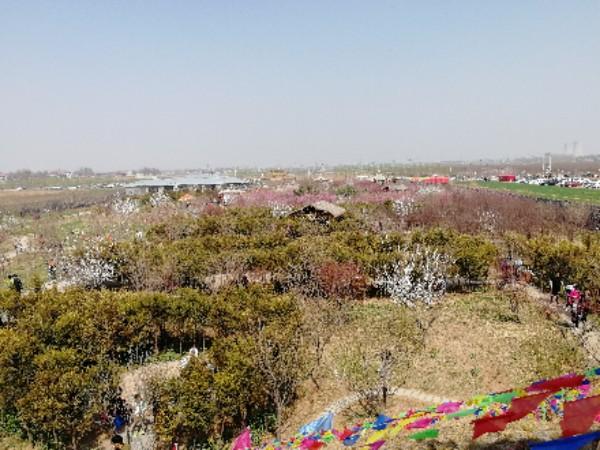 邯郸市樱花园 - 星际高球联盟-中国精英人士高尔夫旅游度假实景