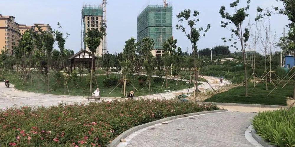 临清文体公园 - 星际高球联盟-中国精英人士高尔夫旅游度假实景