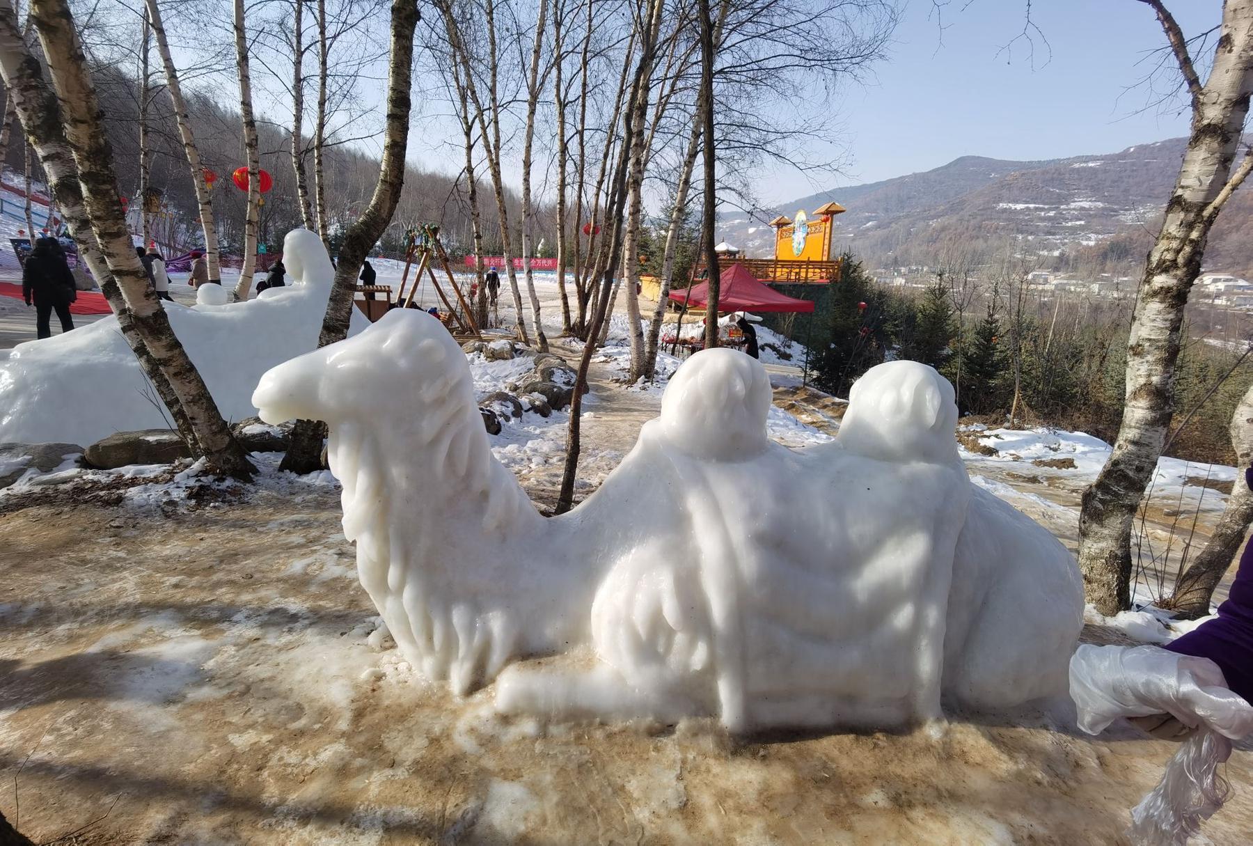 康乐白桦林森林公园 - 星际高球联盟-中国精英人士高尔夫旅游度假实景