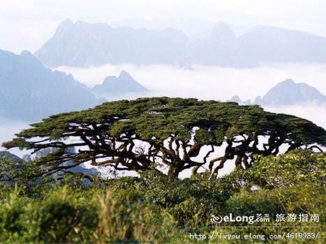 山水瑶城景区 - 星际高球联盟-中国精英人士高尔夫旅游度假实景