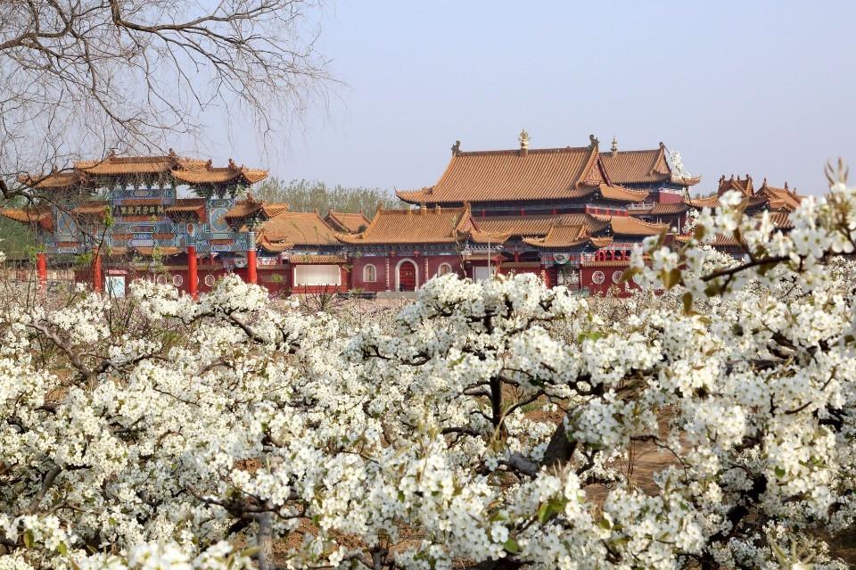 深州市法尊寺 - 星际高球联盟-中国精英人士高尔夫旅游度假实景