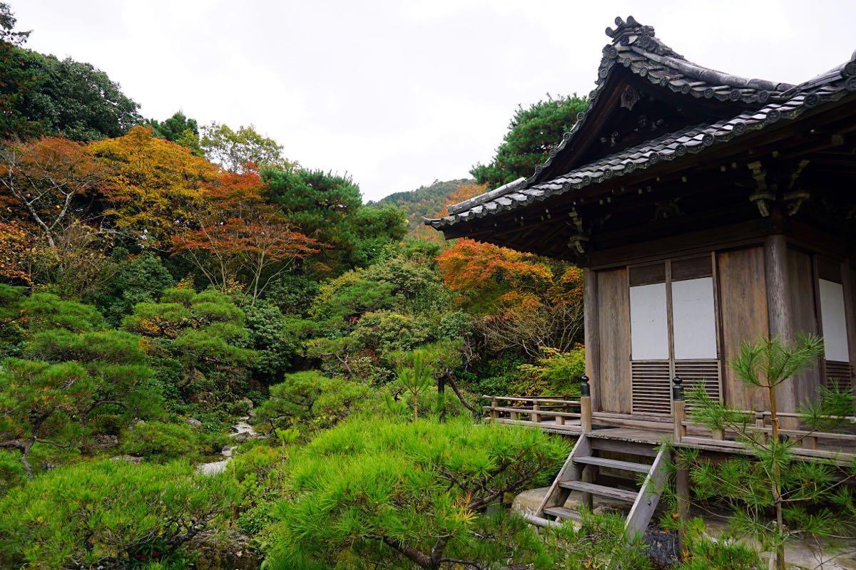 天龙寺 - 星际高球联盟-中国精英人士高尔夫旅游度假实景