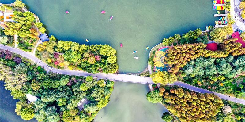 楚秀园 - 星际高球联盟-中国精英人士高尔夫旅游度假实景