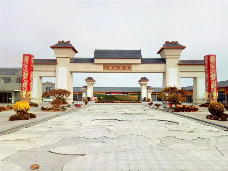 中国牡丹园 - 星际高球联盟-中国精英人士高尔夫旅游度假实景