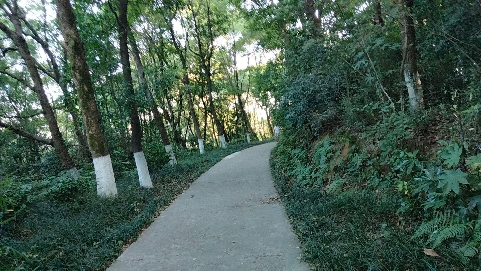 泉峰公园 - 星际高球联盟-中国精英人士高尔夫旅游度假实景