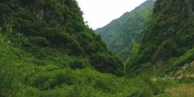 铁沟 - 星际高球联盟-中国精英人士高尔夫旅游度假实景
