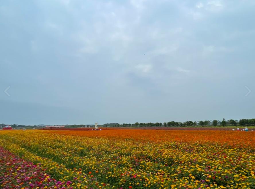 仙眷花洲花海公园 - 星际高球联盟-中国精英人士高尔夫旅游度假实景
