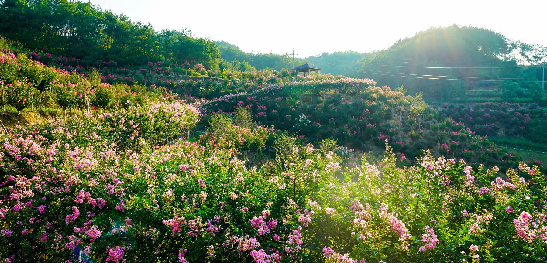 四季花海景区 - 星际高球联盟-中国精英人士高尔夫旅游度假实景