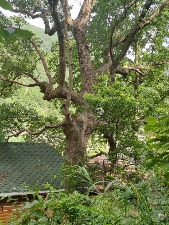 碧水湾景区 - 星际高球联盟-中国精英人士高尔夫旅游度假实景