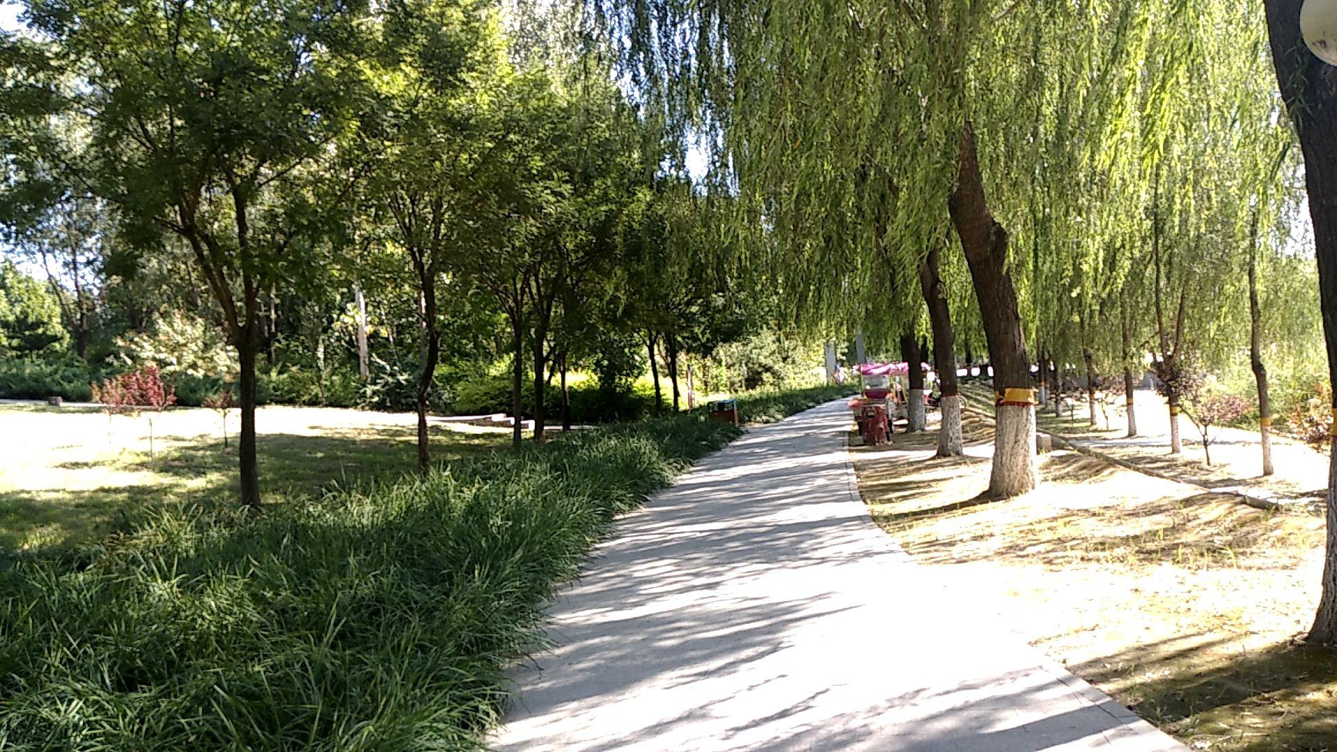 霸州生态公园 - 星际高球联盟-中国精英人士高尔夫旅游度假实景