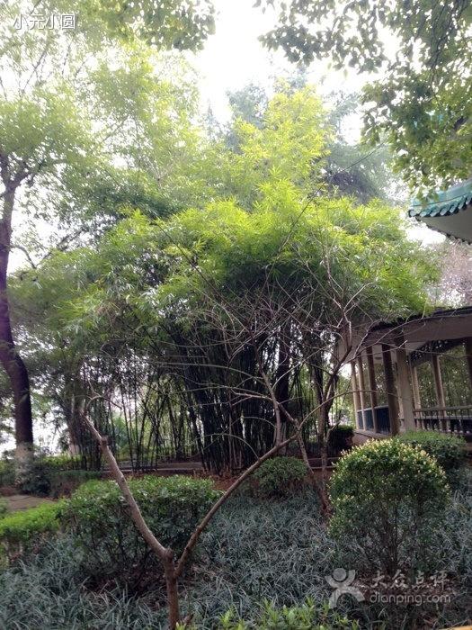 雁峰公园 - 星际高球联盟-中国精英人士高尔夫旅游度假实景