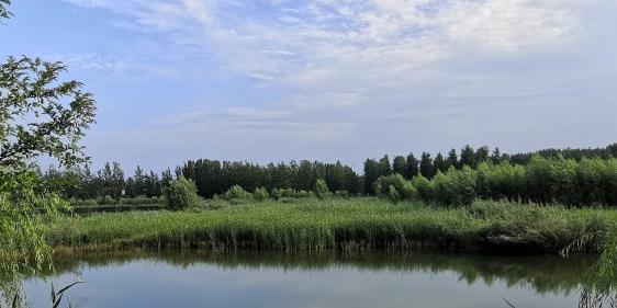 东明黄河国家湿地公园 - 星际高球联盟-中国精英人士高尔夫旅游度假实景