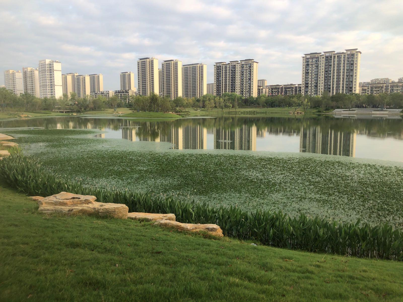 上湖公园 - 星际高球联盟-中国精英人士高尔夫旅游度假实景
