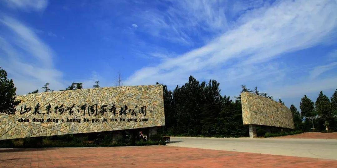 山东东阿黄河国家森林公园 - 星际高球联盟-中国精英人士高尔夫旅游度假实景