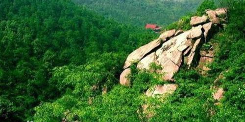 龙山省级森林公园 - 星际高球联盟-中国精英人士高尔夫旅游度假实景