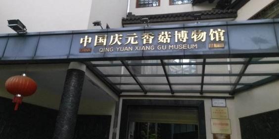 庆元县香菇博物馆 - 星际高球联盟-中国精英人士高尔夫旅游度假实景