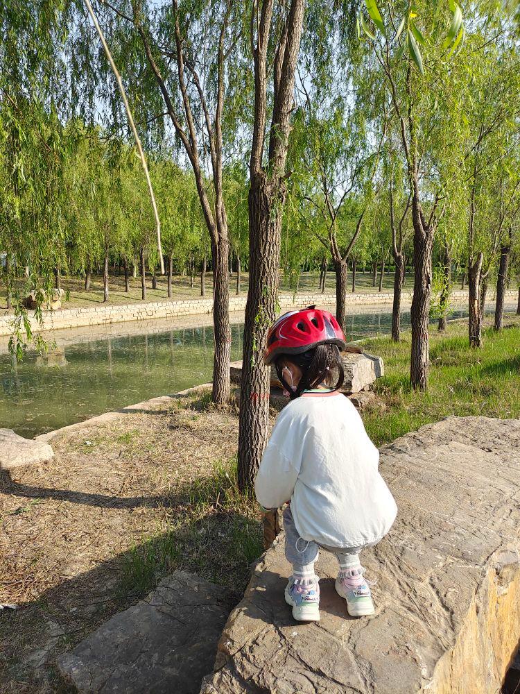 茌山公园 - 星际高球联盟-中国精英人士高尔夫旅游度假实景