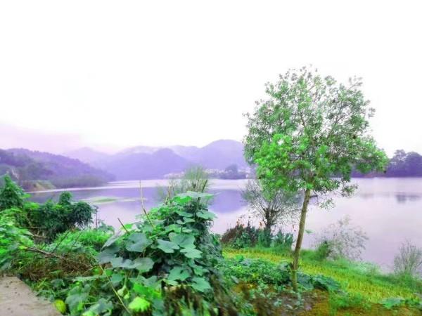 江口桃花岛 - 星际高球联盟-中国精英人士高尔夫旅游度假实景