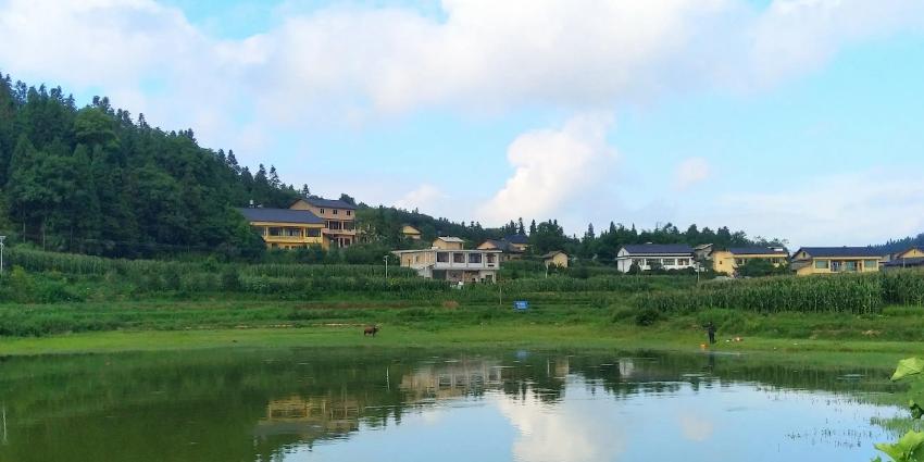 仙草湖 - 星际高球联盟-中国精英人士高尔夫旅游度假实景