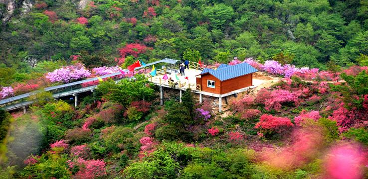 天马寨 - 星际高球联盟-中国精英人士高尔夫旅游度假实景