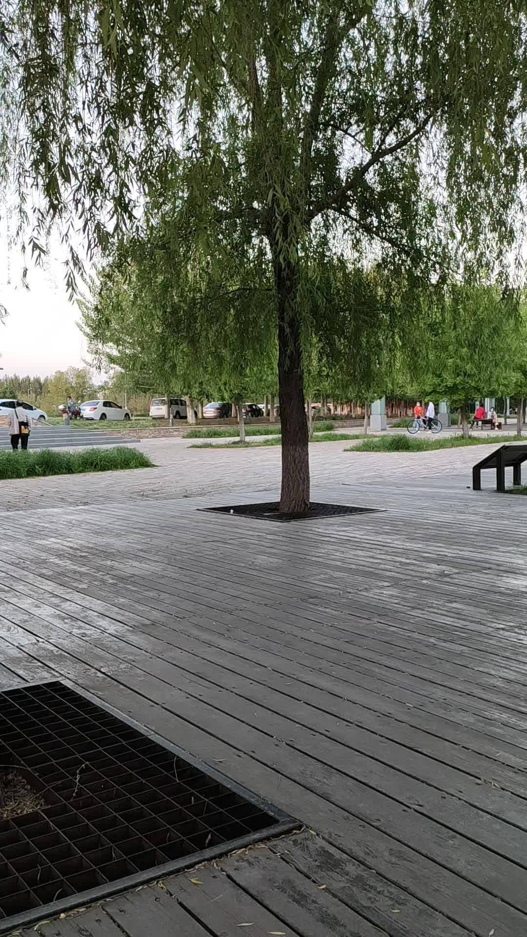 灯塔葛西河公园 - 星际高球联盟-中国精英人士高尔夫旅游度假实景