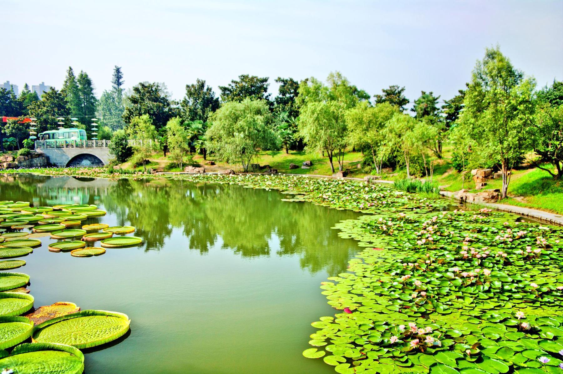 合肥植物园 - 星际高球联盟-中国精英人士高尔夫旅游度假实景