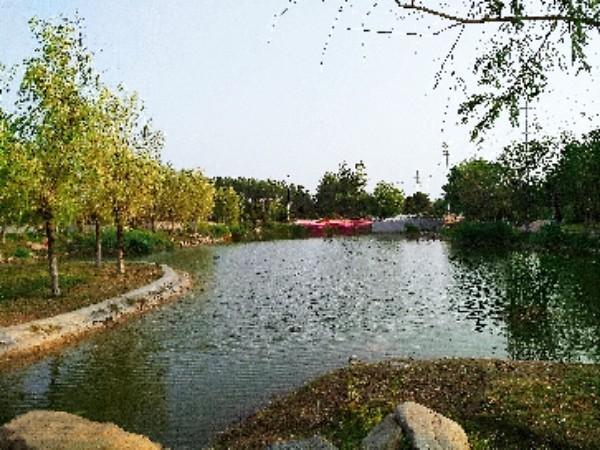 单县南城公园 - 星际高球联盟-中国精英人士高尔夫旅游度假实景