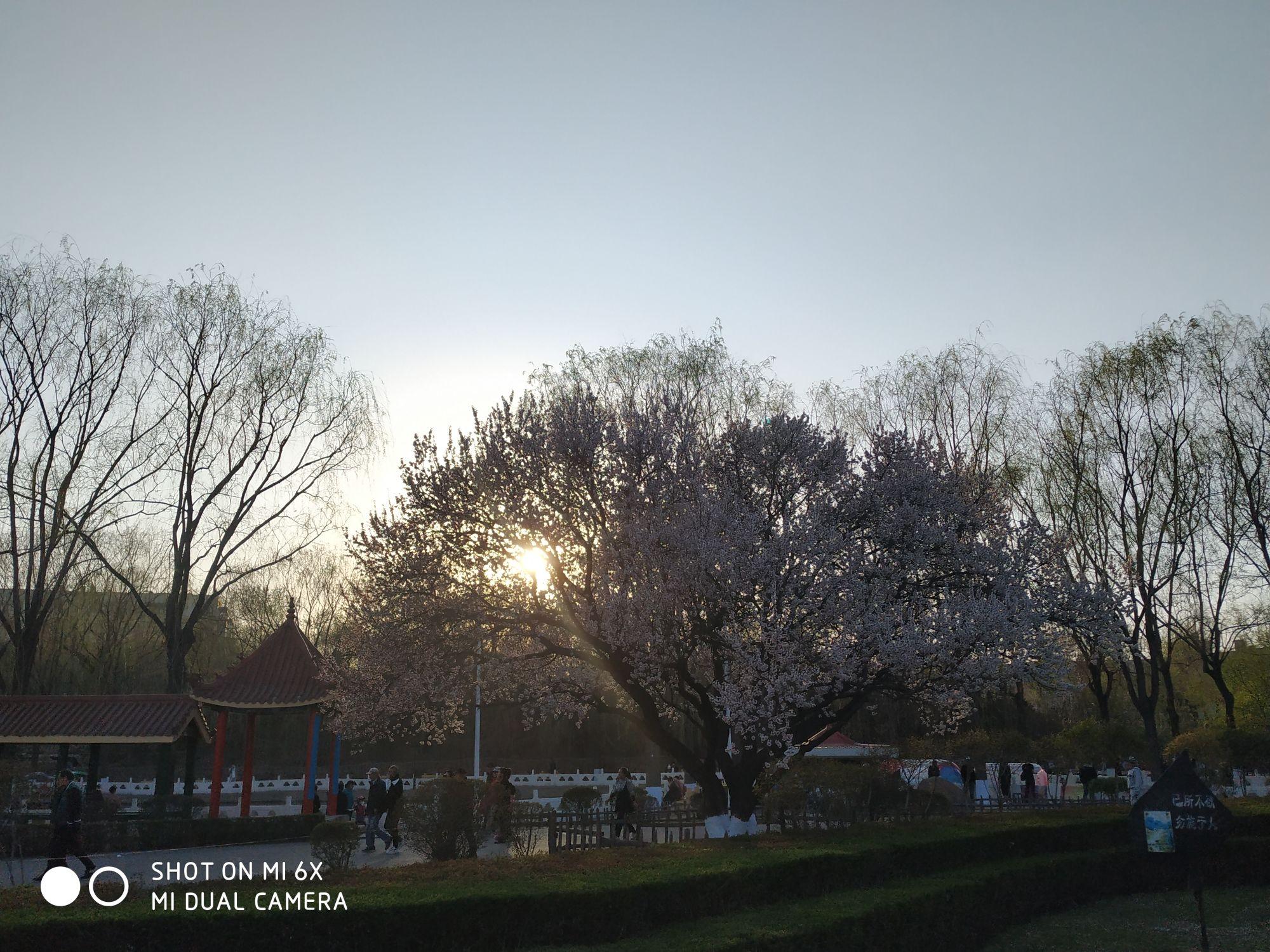 古梨园 - 星际高球联盟-中国精英人士高尔夫旅游度假实景