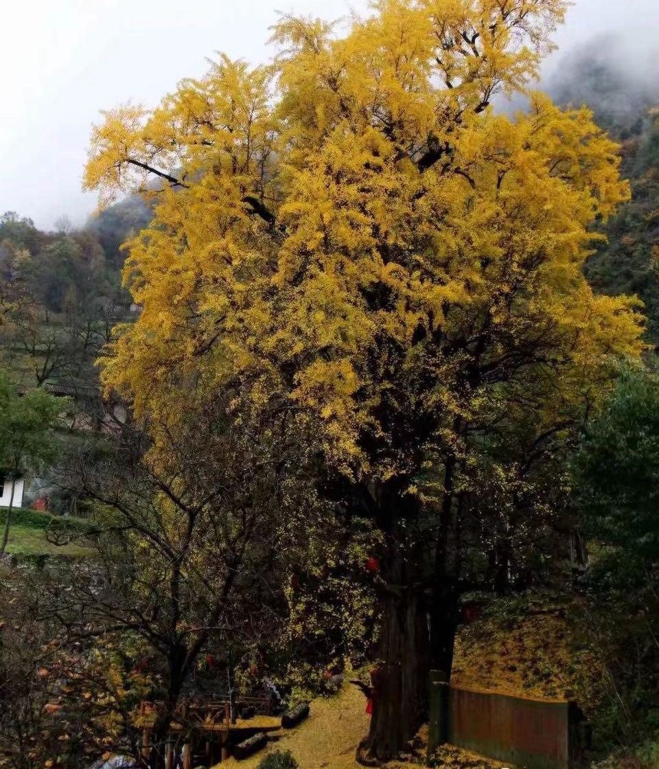 水洞寺 - 星际高球联盟-中国精英人士高尔夫旅游度假实景