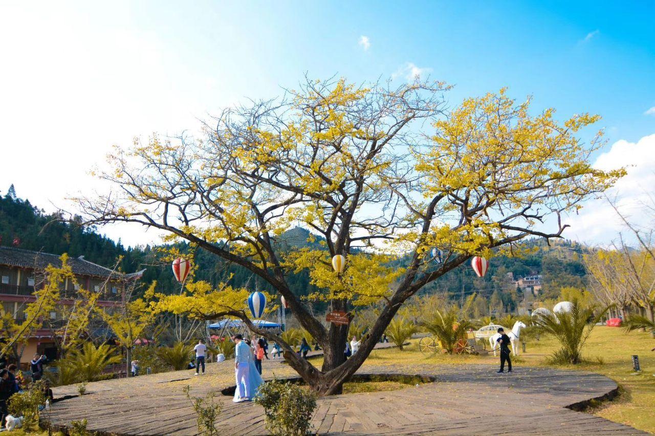 妥乐古银杏旅游景区 - 星际高球联盟-中国精英人士高尔夫旅游度假实景