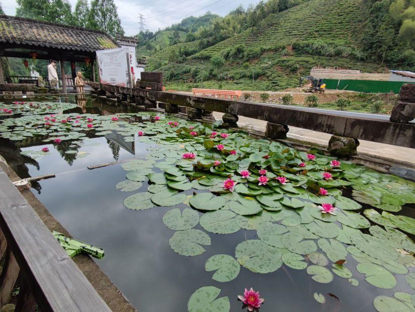 黄山麟圣博物馆 - 星际高球联盟-中国精英人士高尔夫旅游度假实景