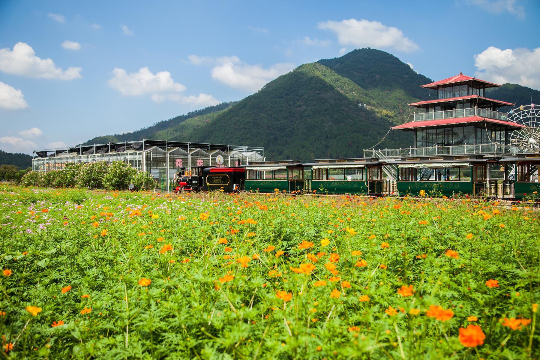 缙云县笕川花海 - 星际高球联盟-中国精英人士高尔夫旅游度假实景