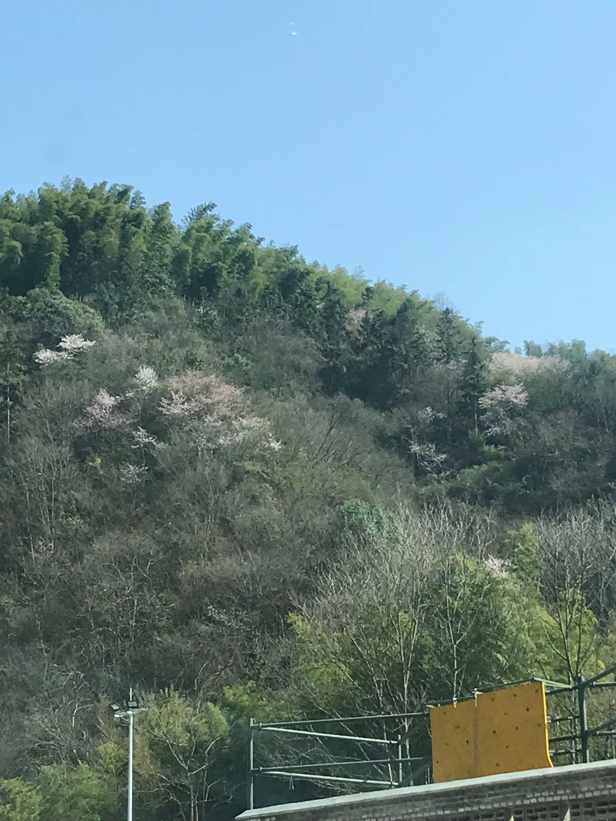 安徽三线军工博物馆 - 星际高球联盟-中国精英人士高尔夫旅游度假实景