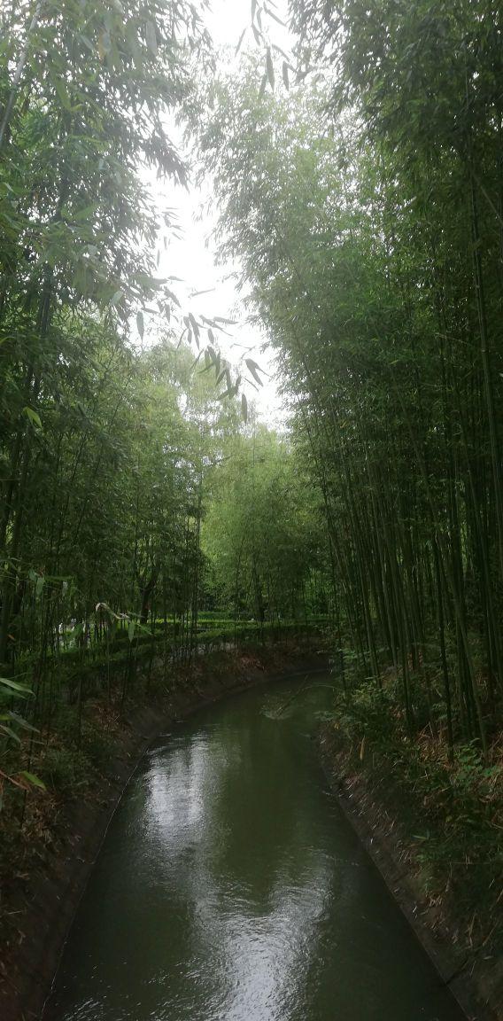 朱鹮梨园 - 星际高球联盟-中国精英人士高尔夫旅游度假实景
