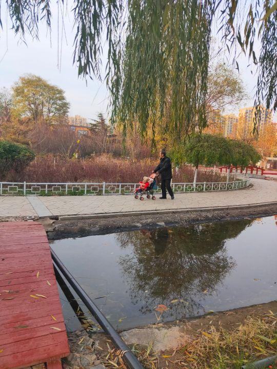肥义公园 - 星际高球联盟-中国精英人士高尔夫旅游度假实景
