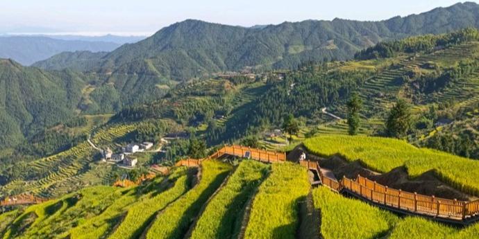 溆浦山背花瑶梯田景区 - 星际高球联盟-中国精英人士高尔夫旅游度假实景