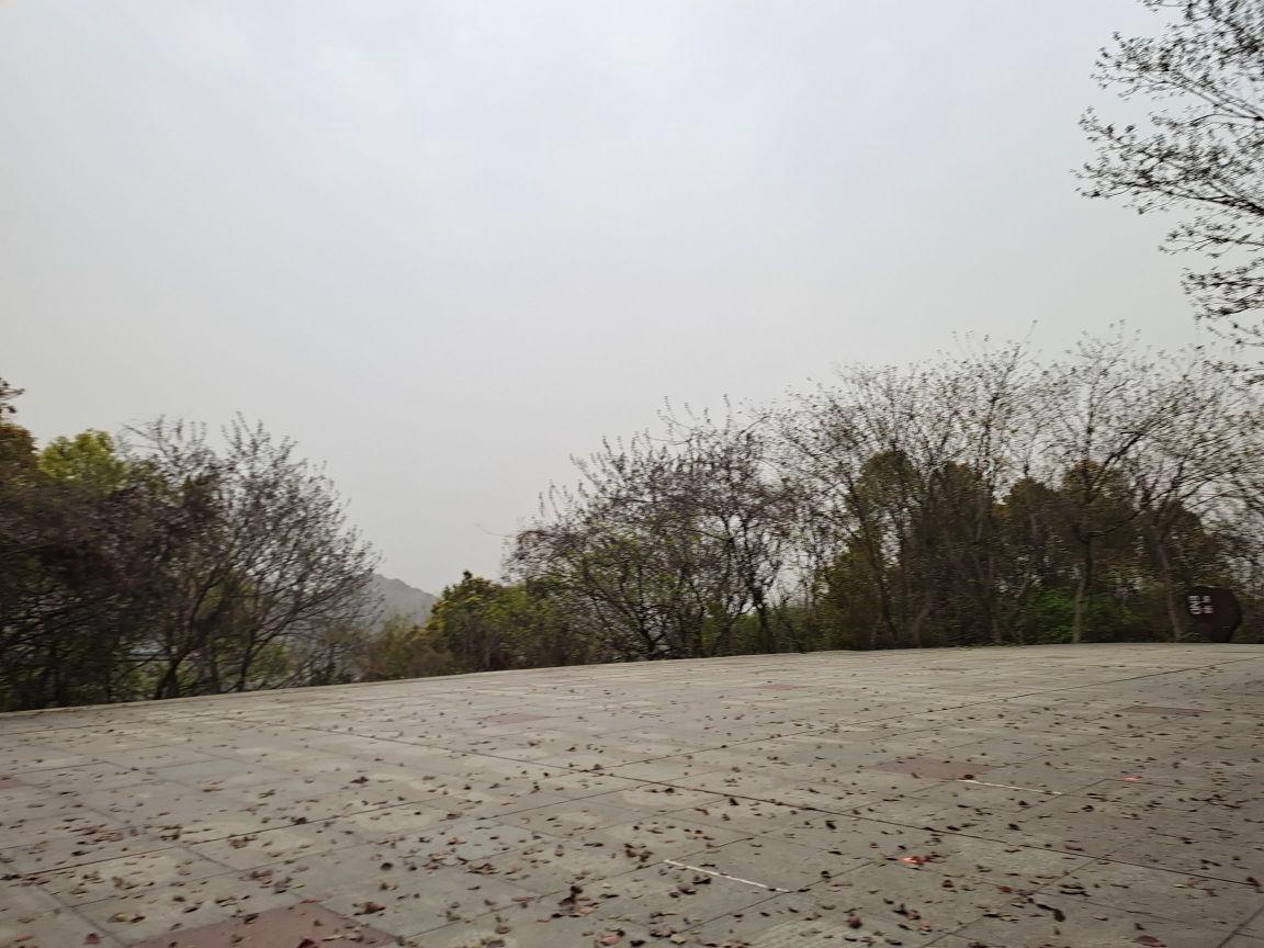 蔡家山公园 - 星际高球联盟-中国精英人士高尔夫旅游度假实景