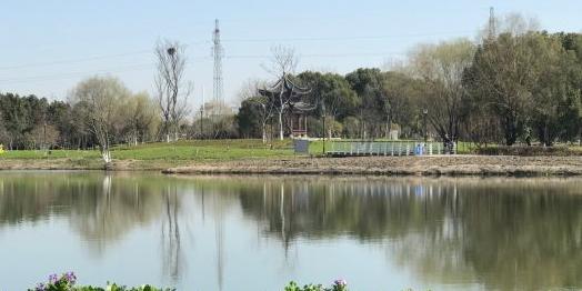 穆湖森林公园 - 星际高球联盟-中国精英人士高尔夫旅游度假实景