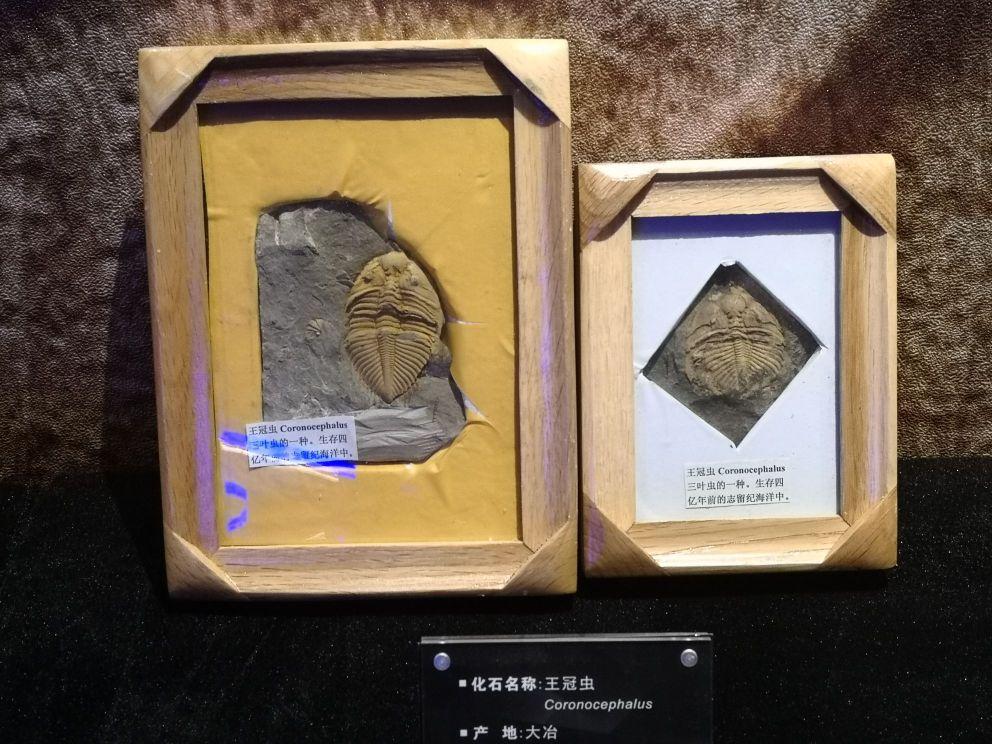 湖北黄石地质博物馆 - 星际高球联盟-中国精英人士高尔夫旅游度假实景