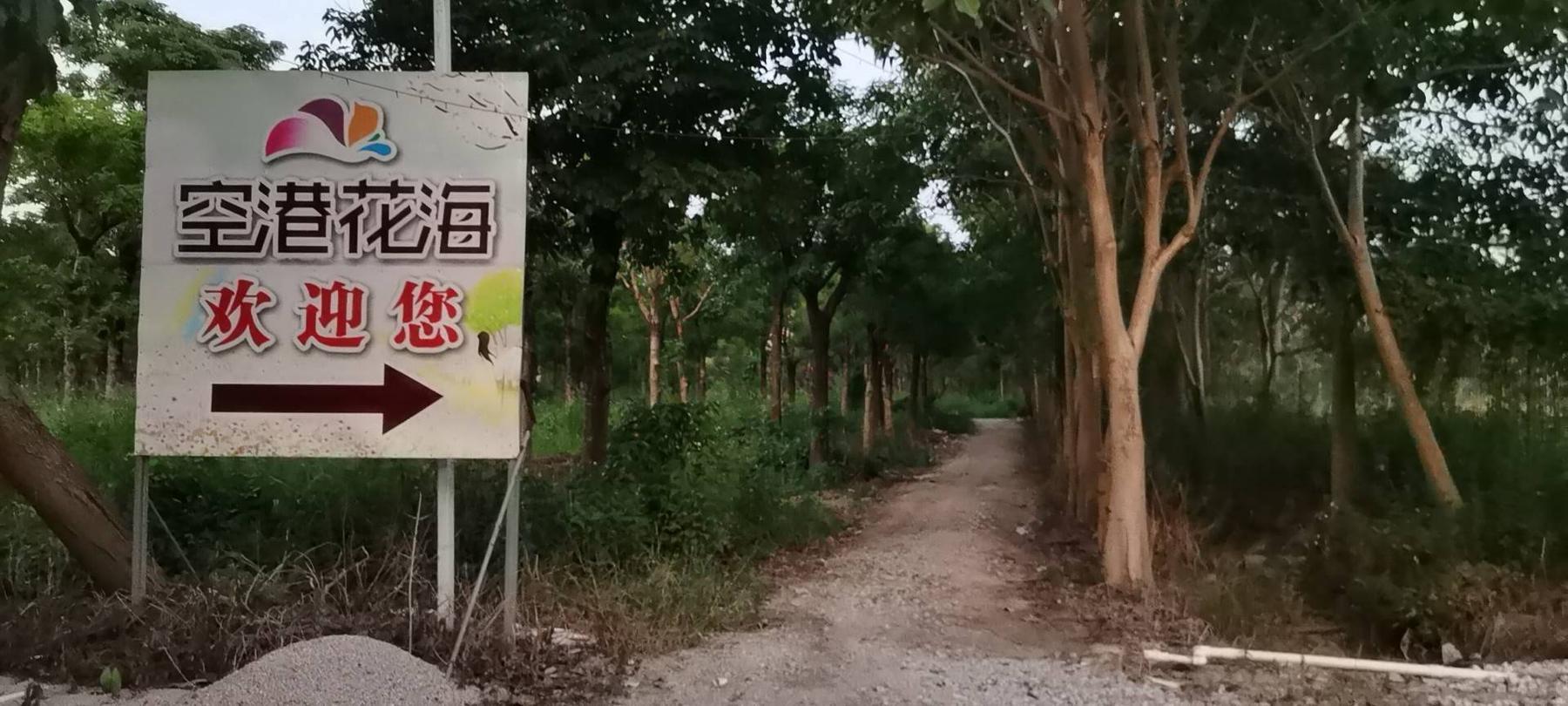 空港花海 - 星际高球联盟-中国精英人士高尔夫旅游度假实景