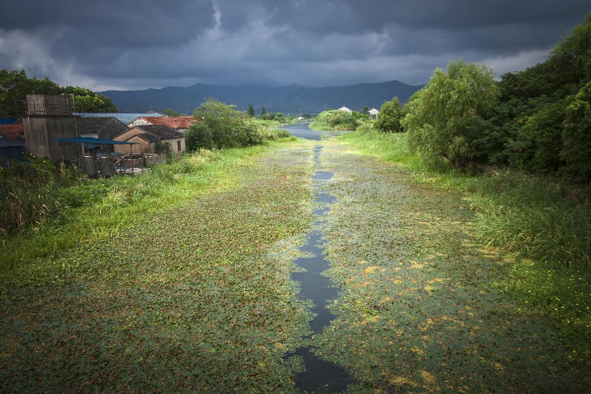 长田漾湿地公园 - 星际高球联盟-中国精英人士高尔夫旅游度假实景