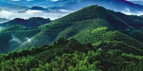 泰和楠木林景区 - 星际高球联盟-中国精英人士高尔夫旅游度假实景