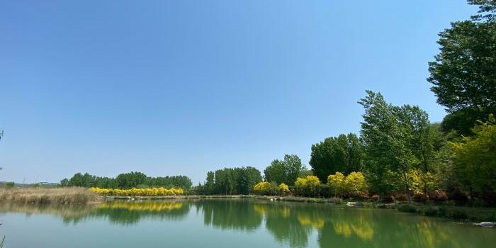 淇河国家湿地公园 - 星际高球联盟-中国精英人士高尔夫旅游度假实景