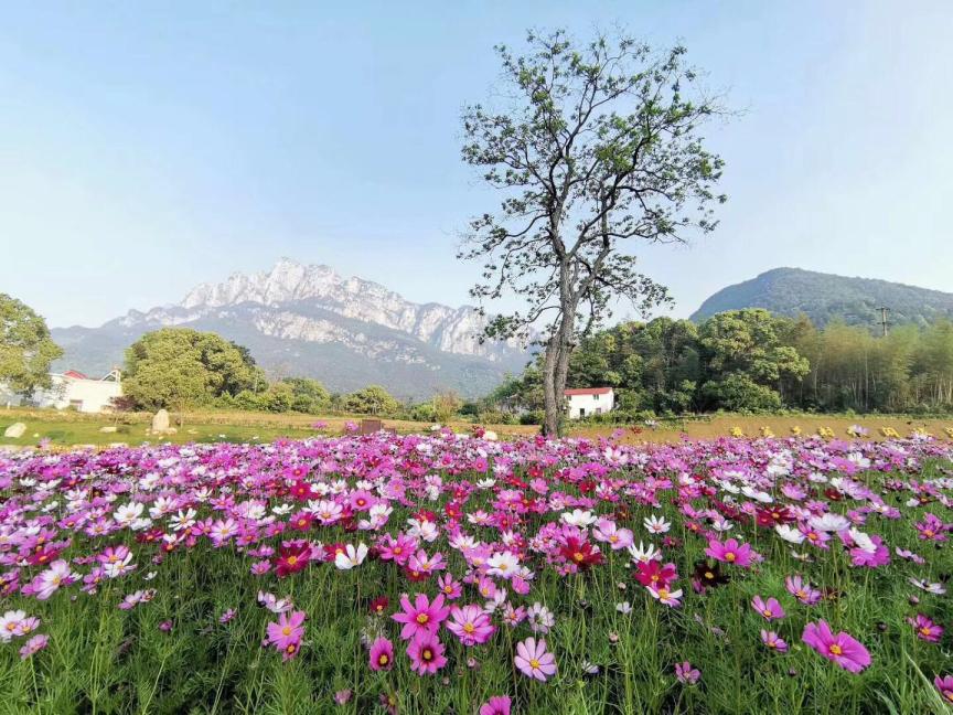 庐山鄱湖湾景区 - 星际高球联盟-中国精英人士高尔夫旅游度假实景