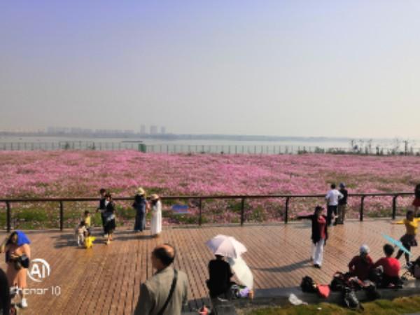 沈家营码头公园 - 星际高球联盟-中国精英人士高尔夫旅游度假实景