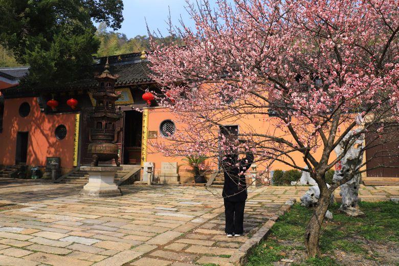 古梅花观 - 星际高球联盟-中国精英人士高尔夫旅游度假实景