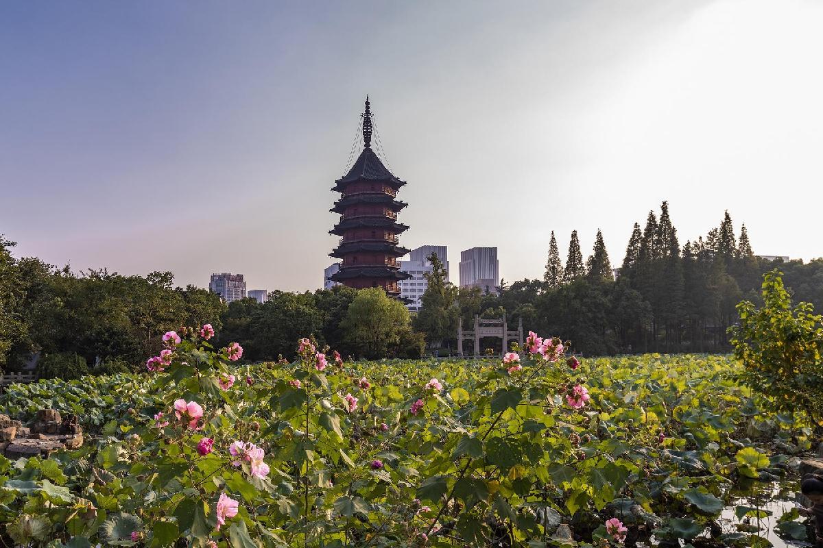 飞英塔 - 星际高球联盟-中国精英人士高尔夫旅游度假实景