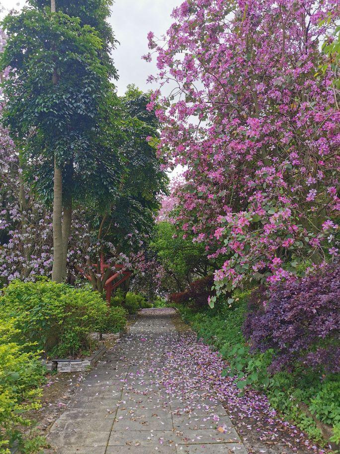 鱼峰山公园 - 星际高球联盟-中国精英人士高尔夫旅游度假实景